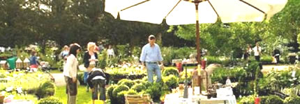 Fete_des_plantes