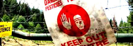 Pesticides